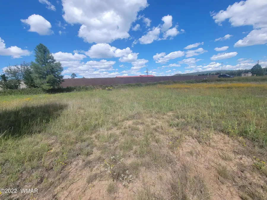 2277 Meadow Lane, Overgaard, AZ 85933 - #3