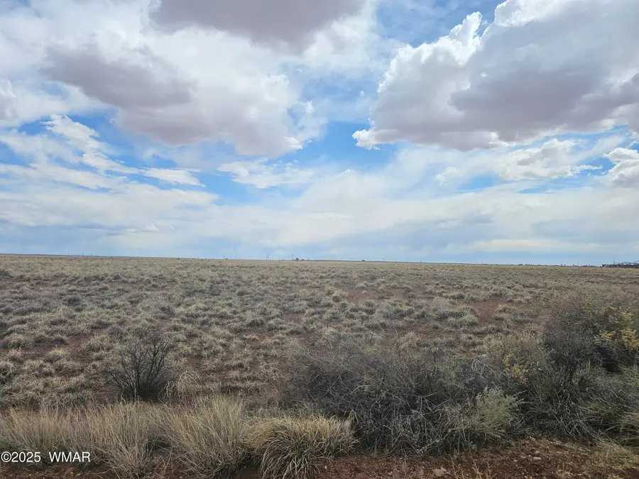 7828 Sandhill Road, Holbrook, AZ 86025 - #3