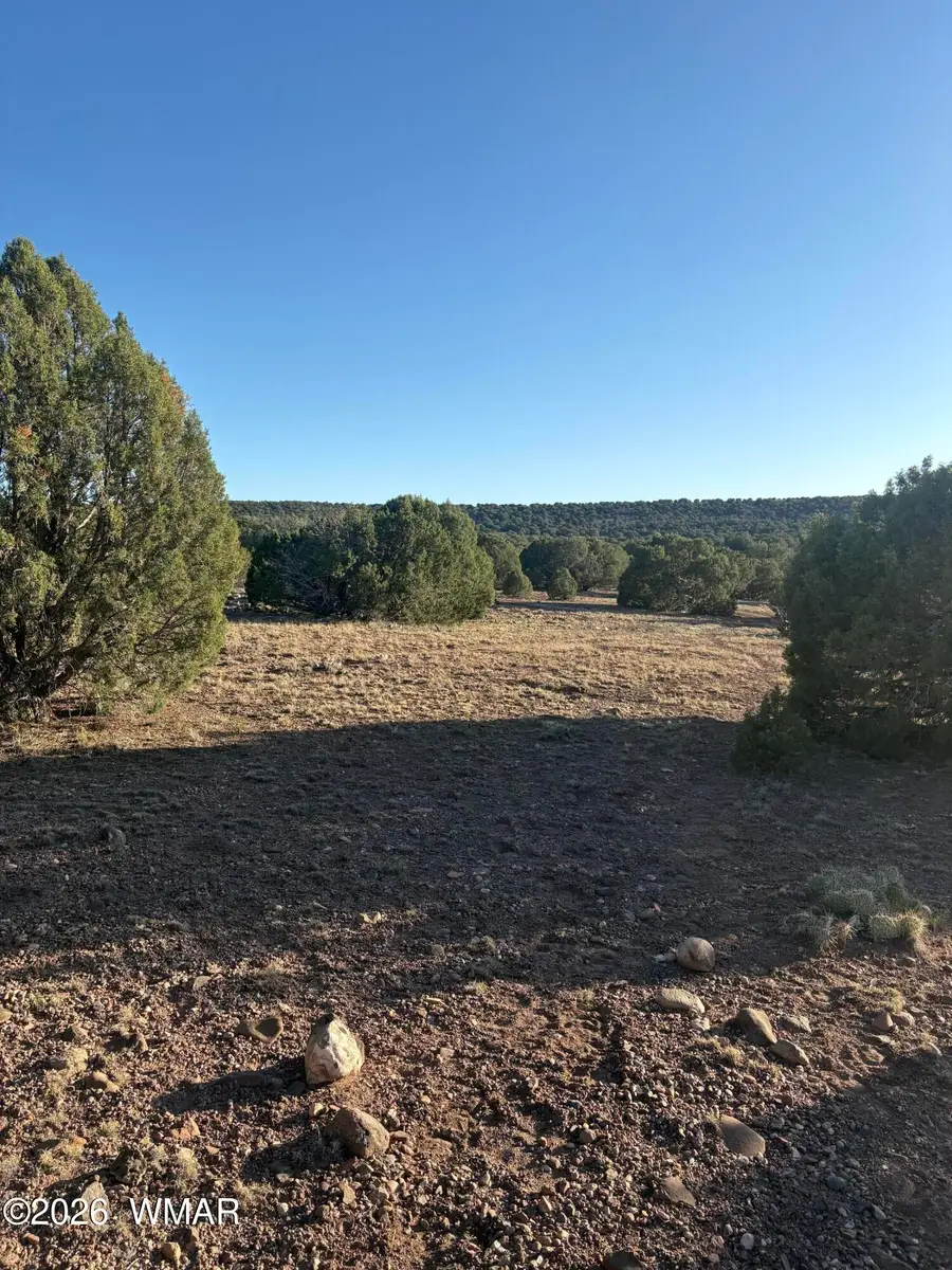 TBD N5547, Concho, AZ 85924 - #3