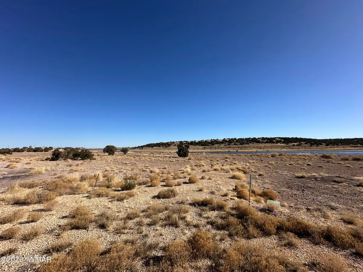 9 County Road 5700, Concho, AZ 85924 - #1