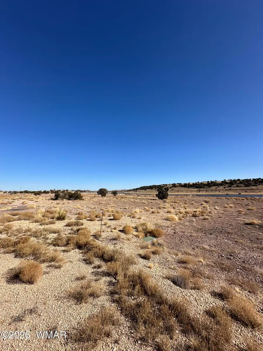 9 County Road 5700, Concho, AZ 85924 - #3