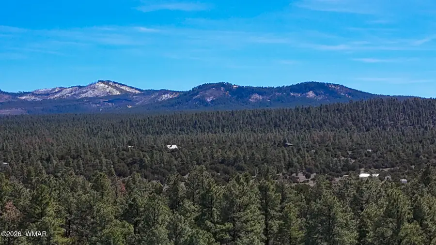 11 Co Rd 3262 5 Acres, Vernon, AZ 85940 - #2