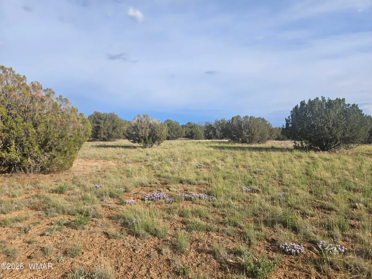 2429 Bourdon Ranch Road, Show Low, AZ 85901 - #1