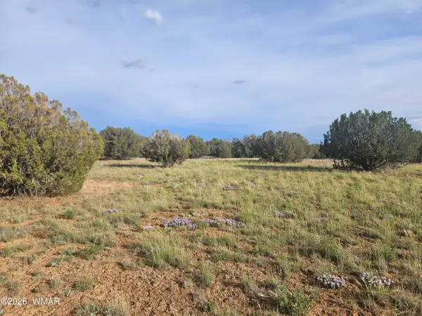 2429 Bourdon Ranch Road, Show Low, AZ 85901
