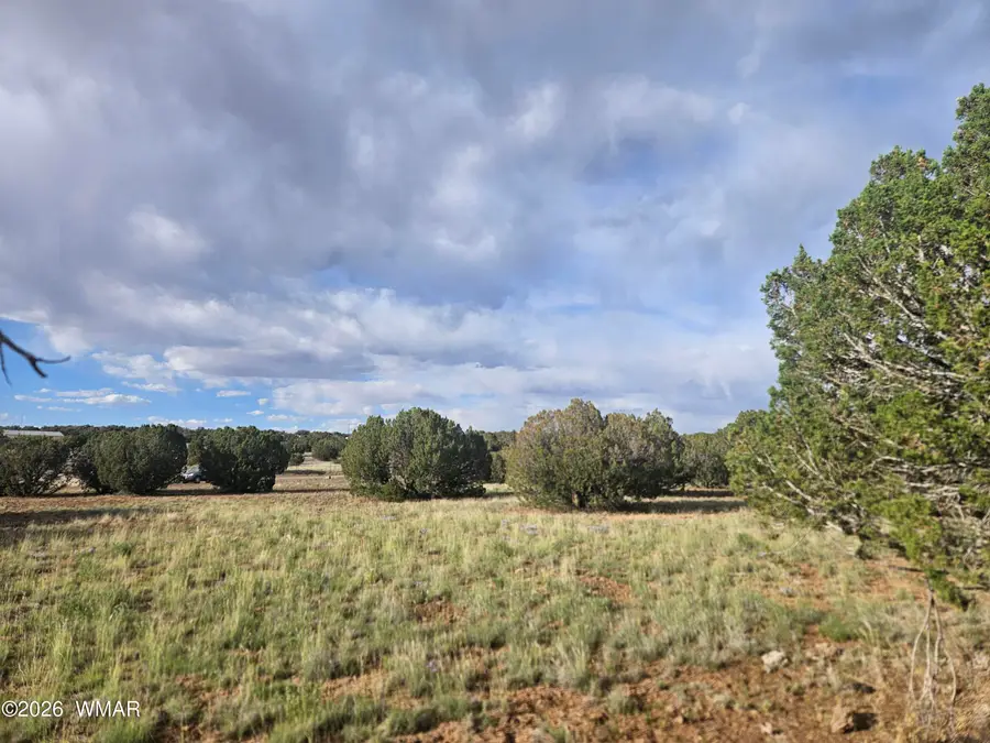2429 Bourdon Ranch Road, Show Low, AZ 85901 - #3