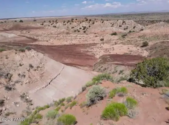 TBD 210-06-005 & 206-51-136, Chambers, AZ 86502