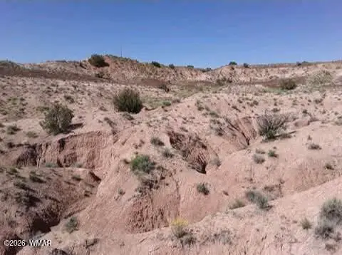 TBD 210-06-005 & 206-51-136, Chambers, AZ 86502 - #2