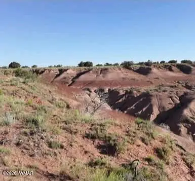 TBD 210-06-005 & 206-51-136, Chambers, AZ 86502 - #3
