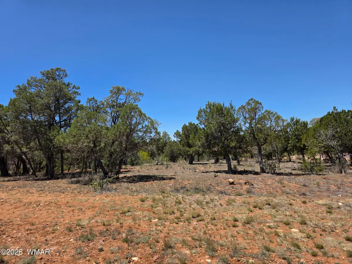 2292 Aero Mech Drive, Overgaard, AZ 85933 - #1