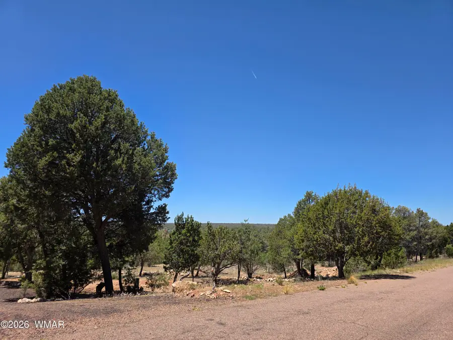 2292 Aero Mech Drive, Overgaard, AZ 85933 - #2