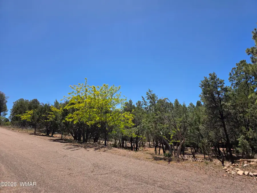 2292 Aero Mech Drive, Overgaard, AZ 85933 - #3