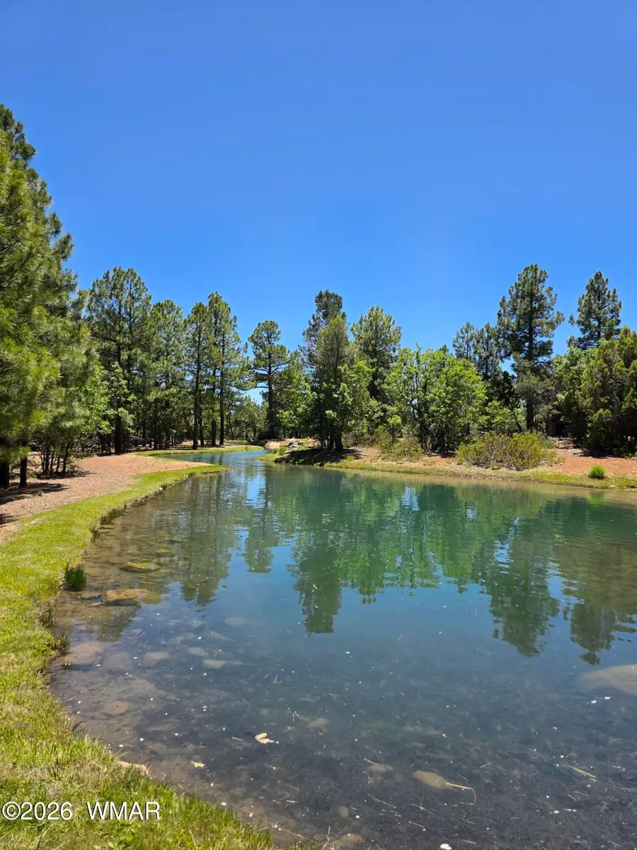 731 S Barberry Lane, Show Low, AZ 85901 - #2
