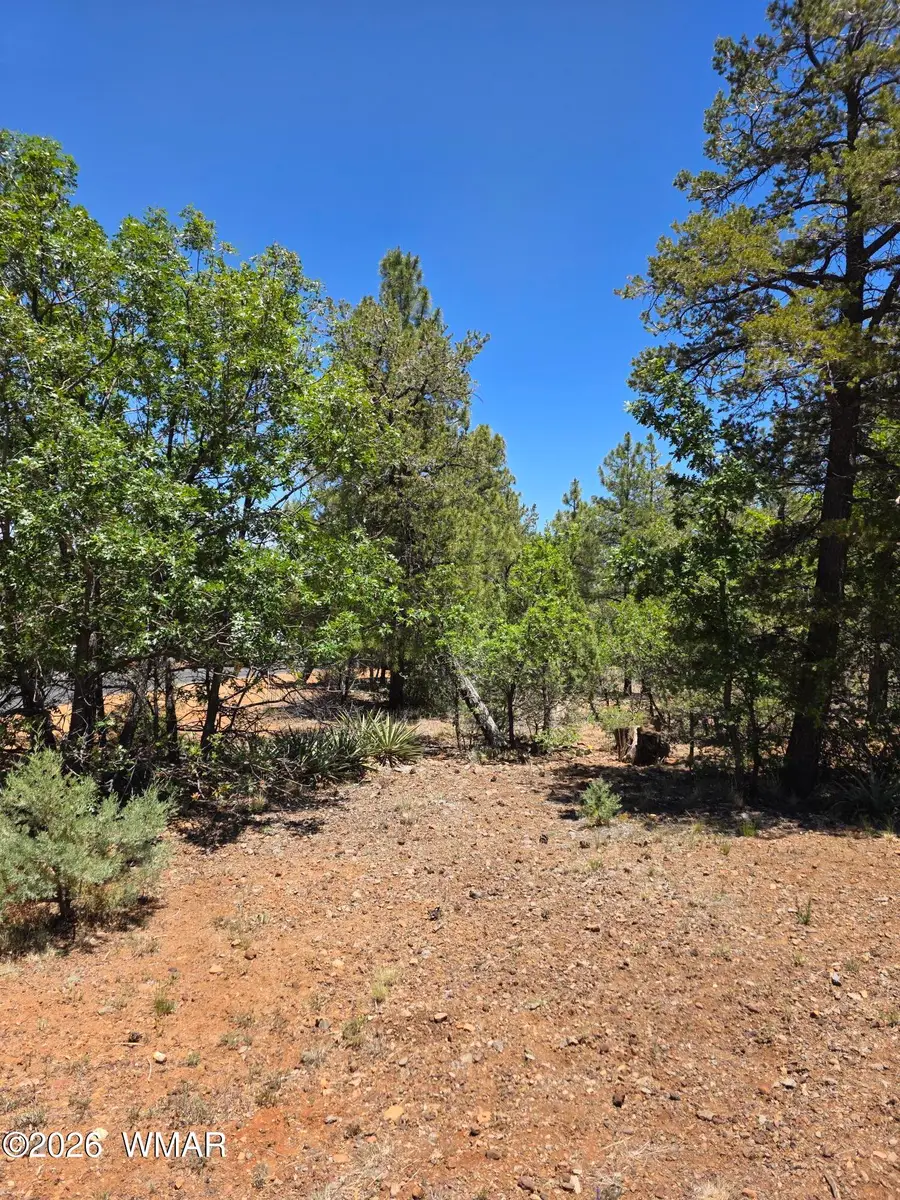 731 S Barberry Lane, Show Low, AZ 85901 - #3
