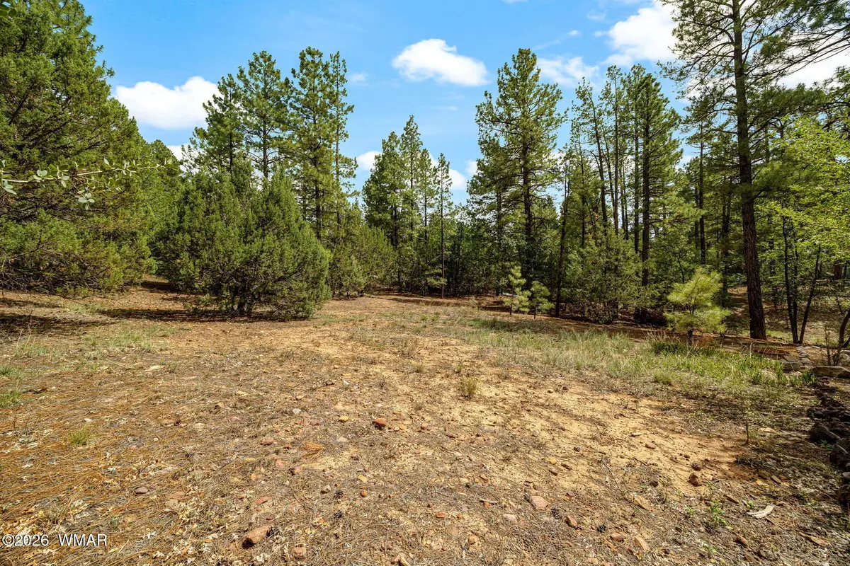 1060 S Hacienda Pines Drive, Show Low, AZ 85901 - #1