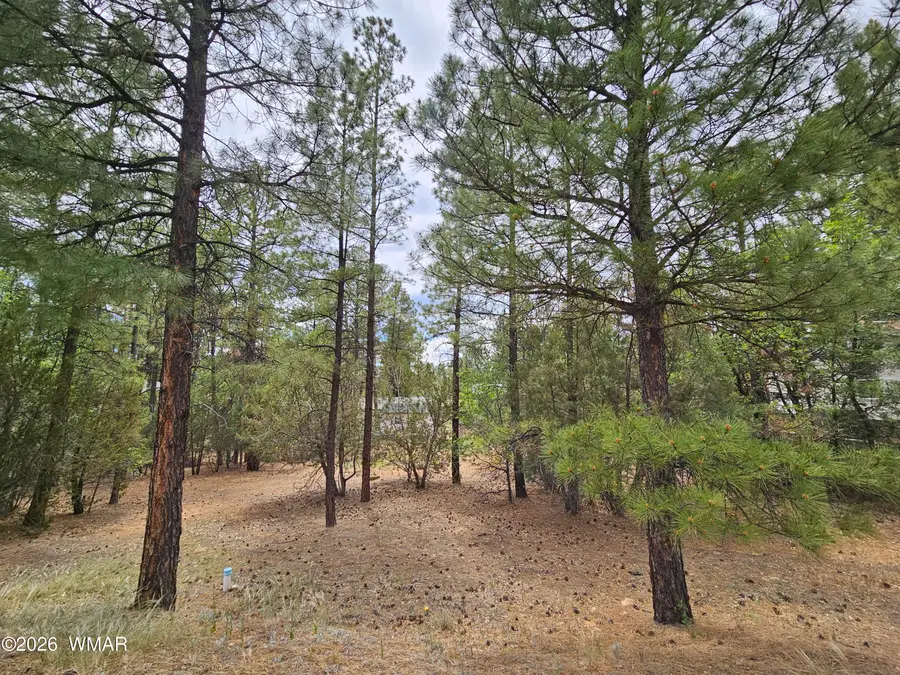 1060 S Hacienda Pines Drive, Show Low, AZ 85901 - #2