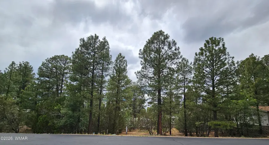 1060 S Hacienda Pines Drive, Show Low, AZ 85901 - #3