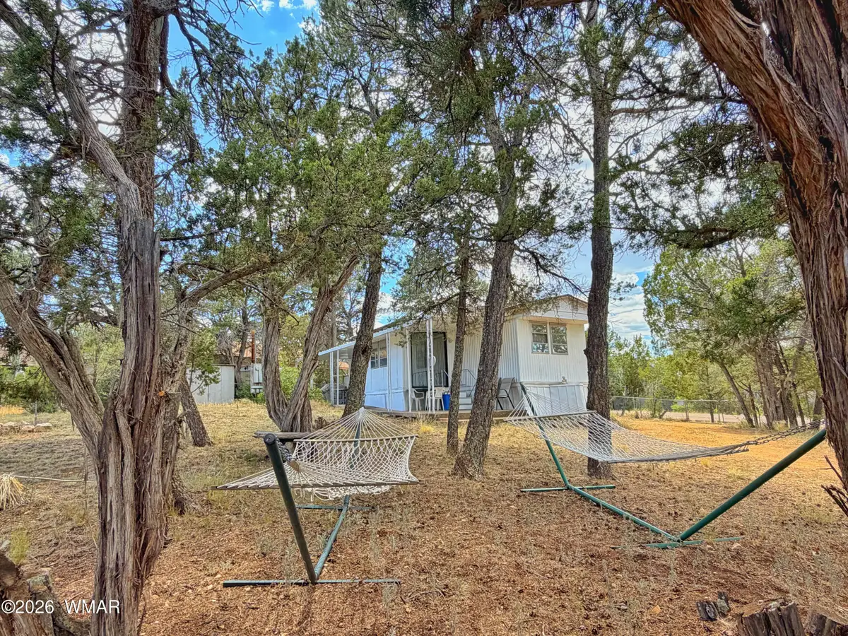 3405 Buckhorn Bend Road, Overgaard, AZ 85933 - #1