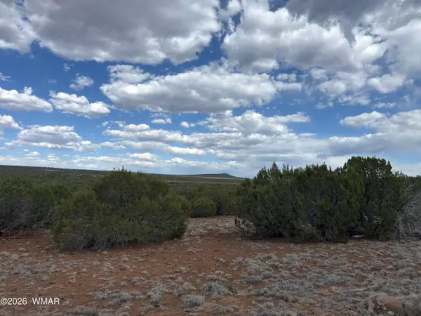 33 Co Road, Vernon, AZ 85940
