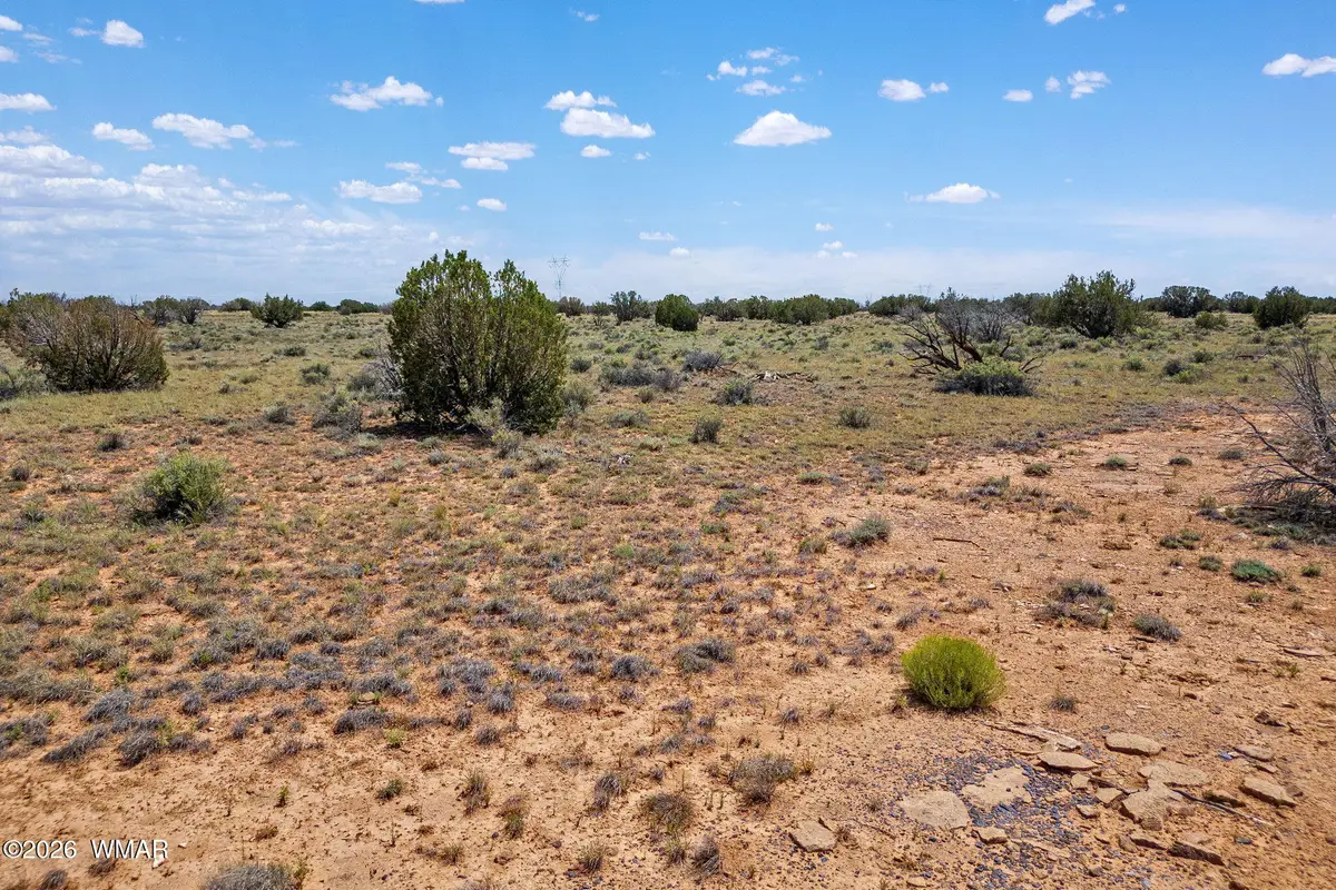 5939 Mesa View Drive, Heber, AZ 85928 - #1