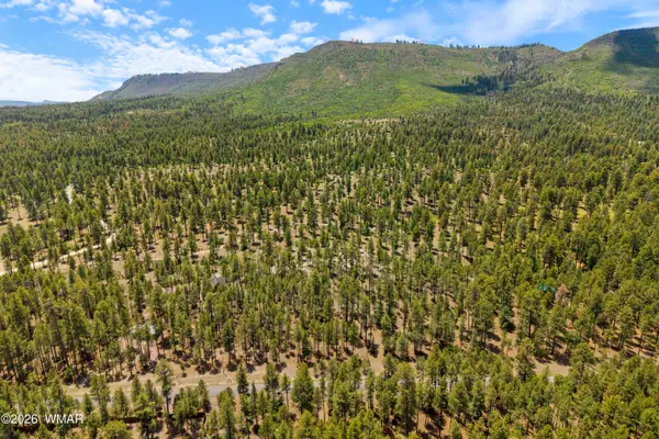 98 County Road 2266, Alpine, AZ 85920