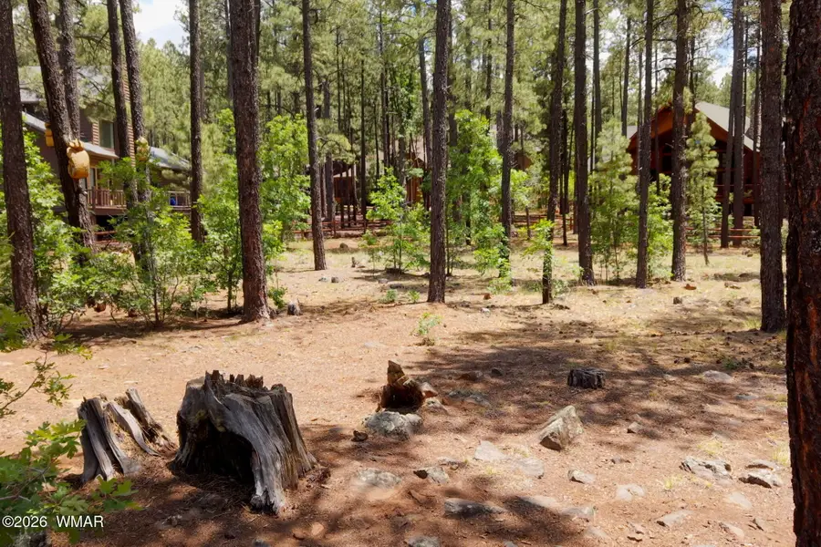 8489 Pine Wood Drive, Pinetop, AZ 85935 - #2