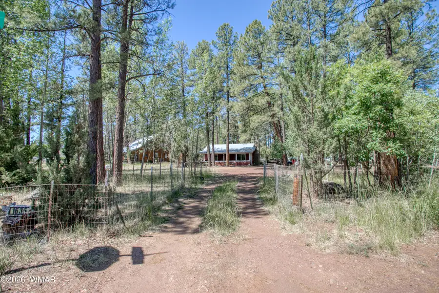 1635 Farnsworth Street, Lakeside, AZ 85929 - #2