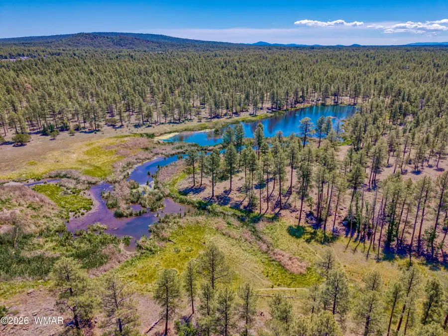 1635 Farnsworth Street, Lakeside, AZ 85929 - #3