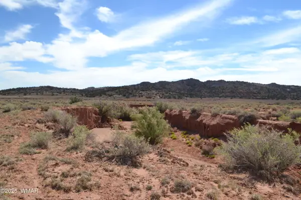 Lots 18,19 N8577 Road, Concho, AZ 85924