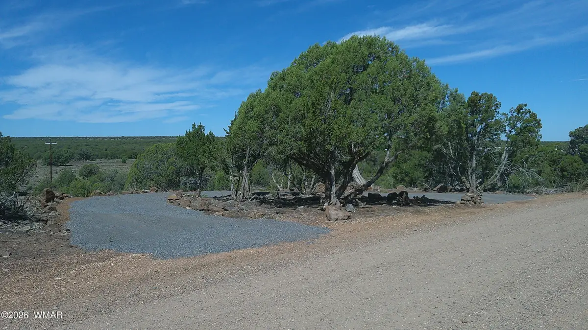 8285 Ridge Drive, Show Low, AZ 85901 - #1