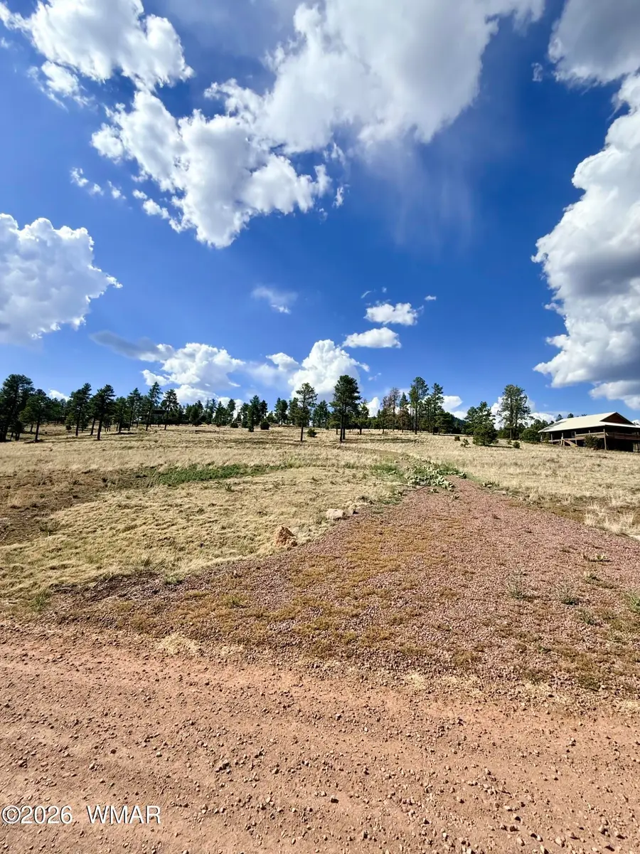 32 The Ranch At Alpine, Alpine, AZ 85920 - #3