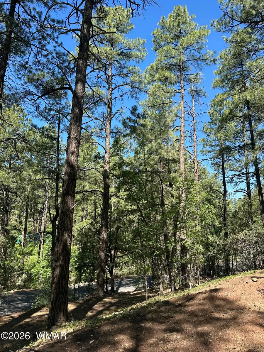 230 W Pine Shadow Drive, Lakeside, AZ 85929 - #3