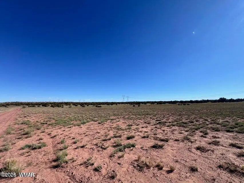 005 N9119, Concho, AZ 85924 - #3