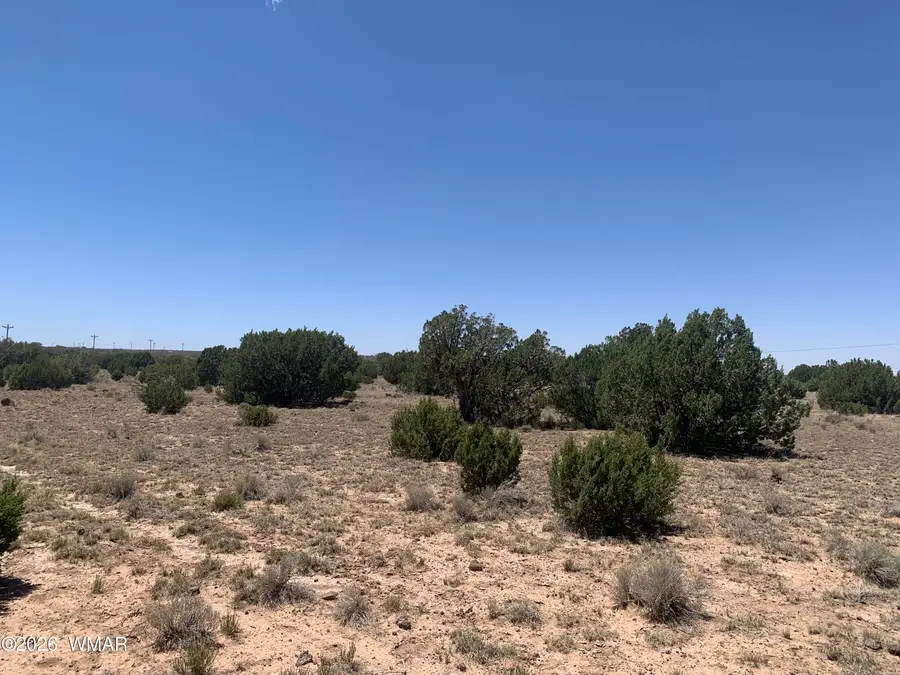 110 Mesa Redondo Ranch Road, Concho, AZ 85924 - #3