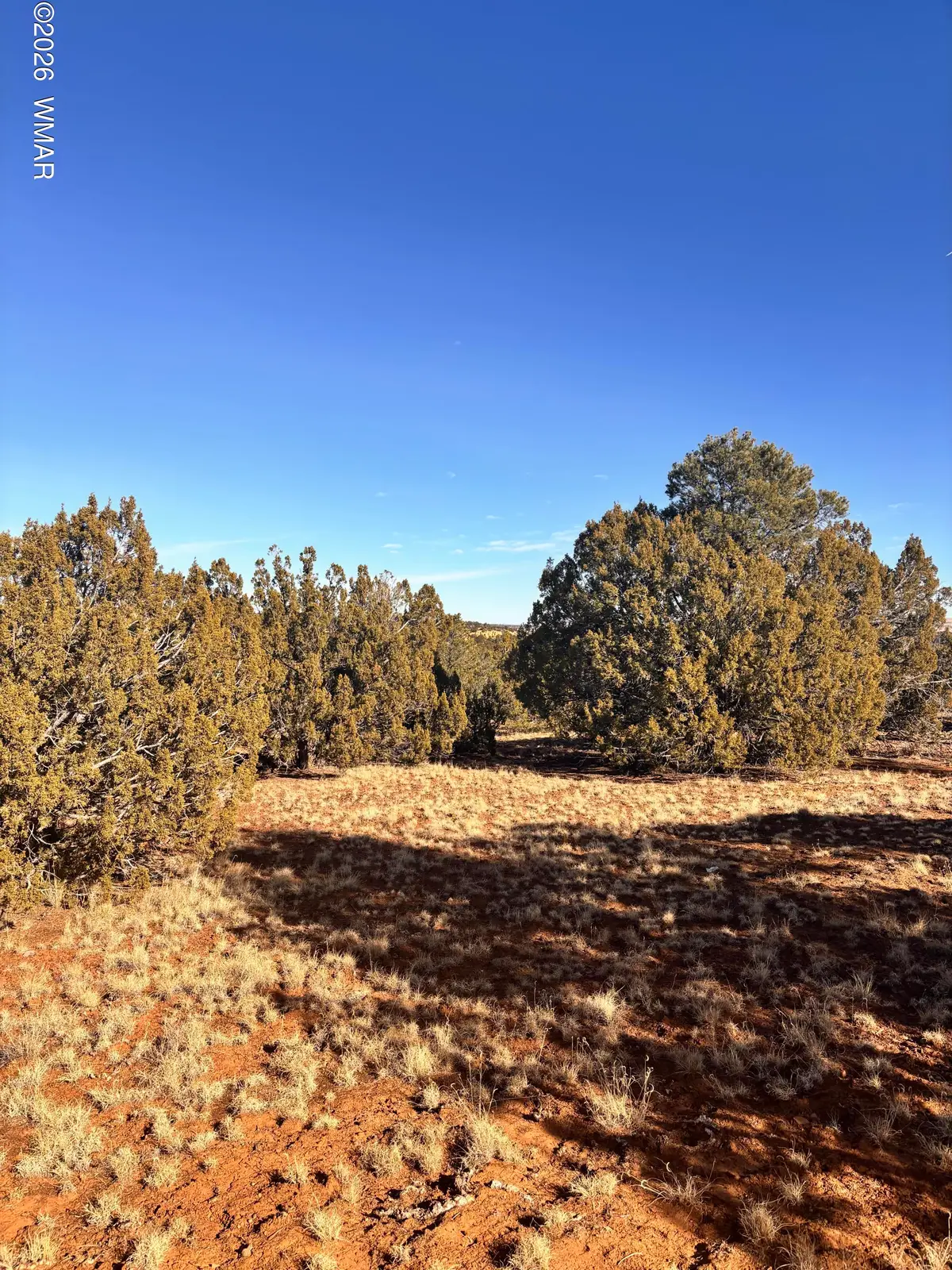 37 Cinder Dr, Concho, AZ 85924 - #1