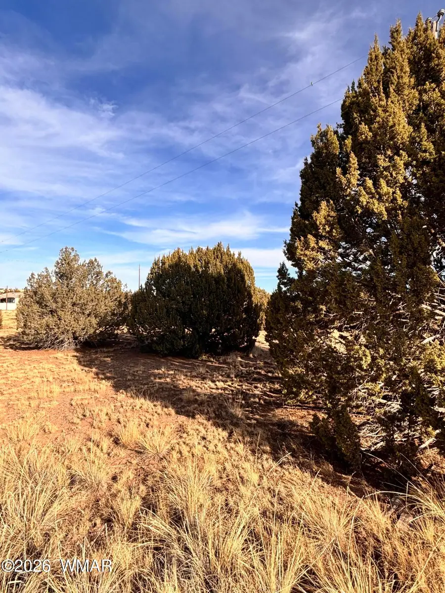37 Cinder Dr, Concho, AZ 85924 - #2