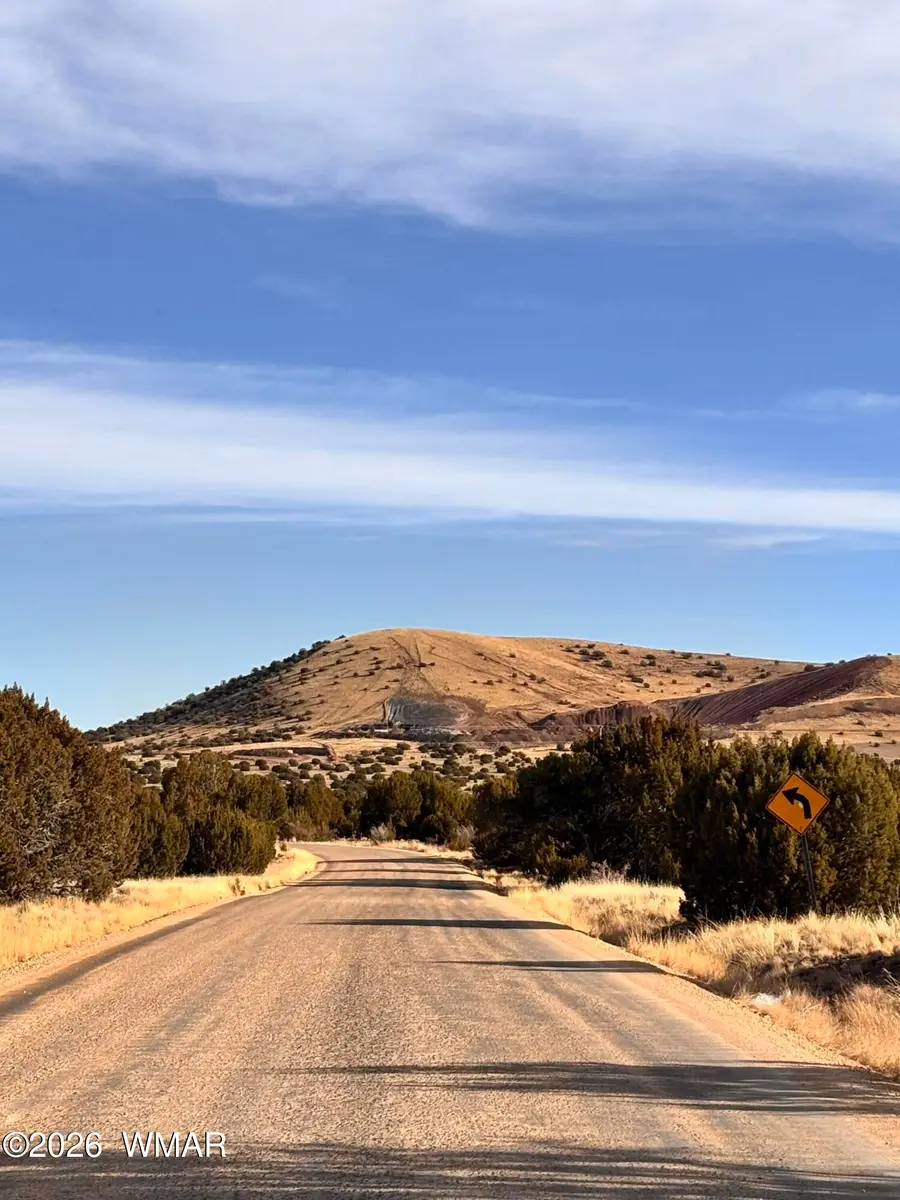 37 Cinder Dr, Concho, AZ 85924 - #3