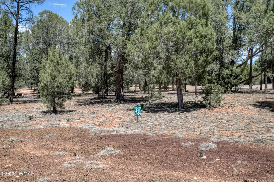 2661 N Eagle View Circle, Show Low, AZ 85901 - #2