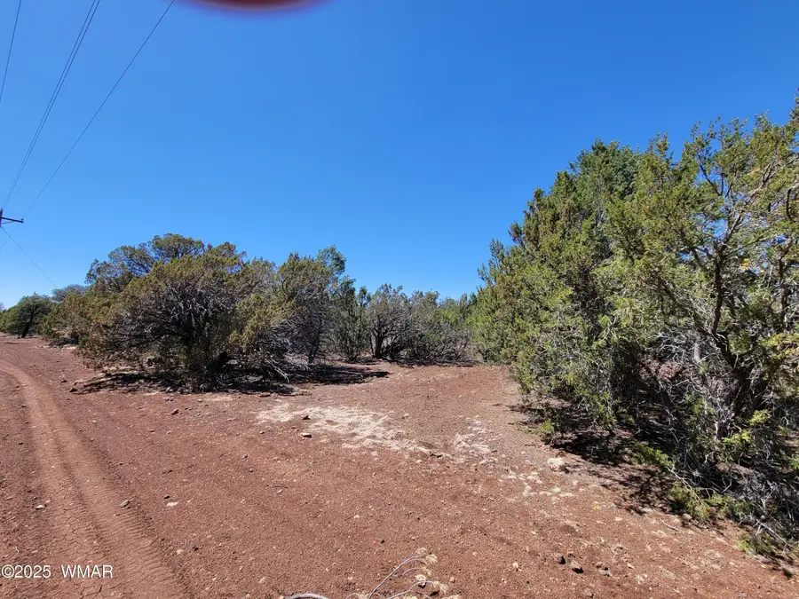 TBD Co Rd 3113, Vernon, AZ 85940 - #3