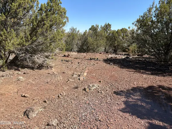 lot Cr 3189, Vernon, AZ 85940