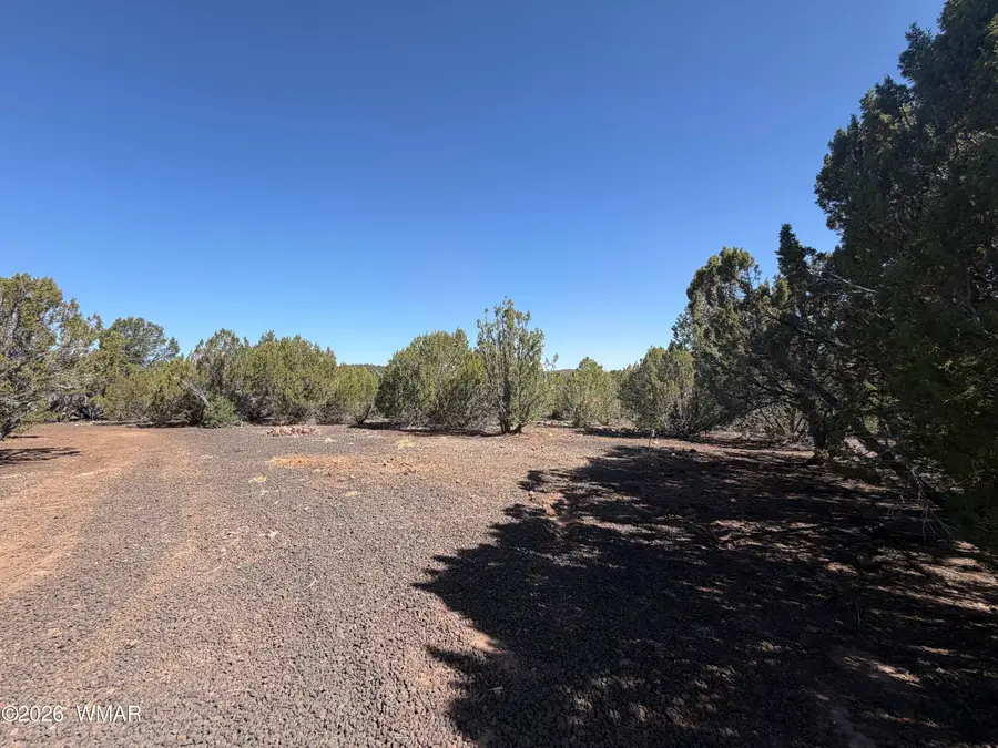 lot Cr 3189, Vernon, AZ 85940 - #2