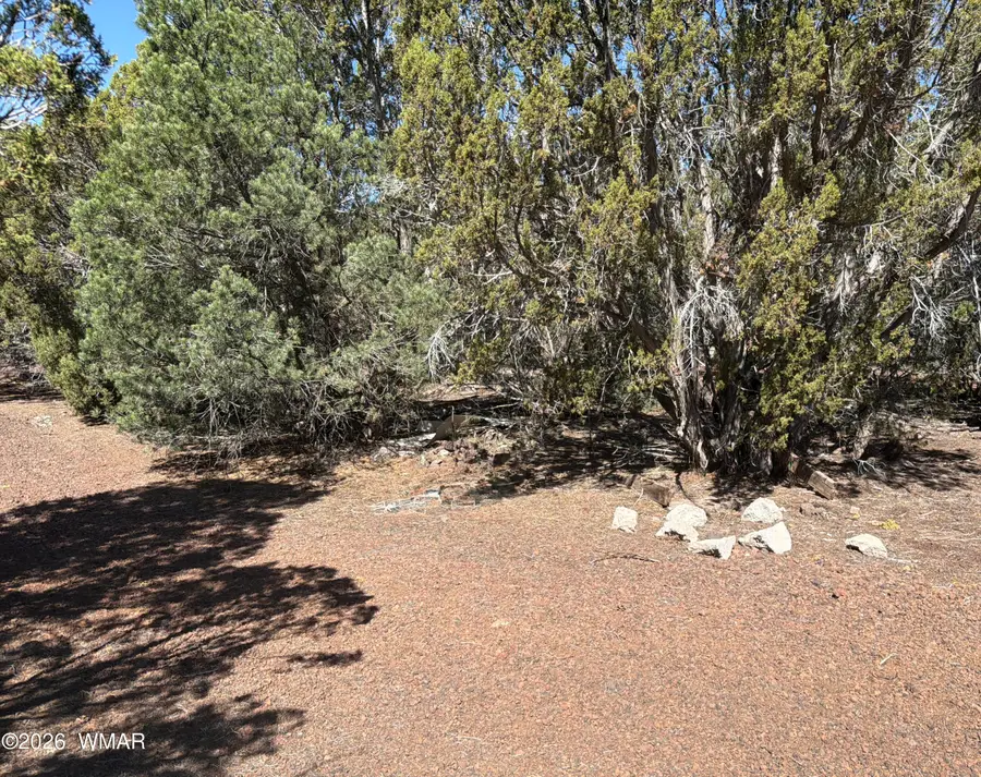 lot Cr 3189, Vernon, AZ 85940 - #3