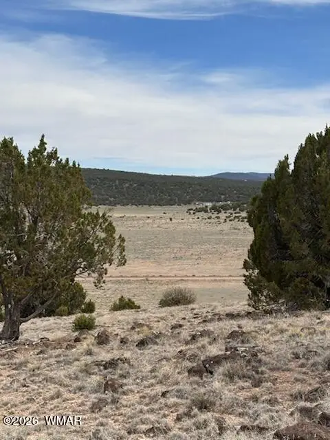 38 Cr 8250, Concho, AZ 85924