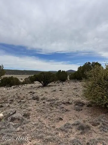 38 Cr 8250, Concho, AZ 85924 - #2