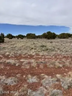38 Cr 8250, Concho, AZ 85924 - #3