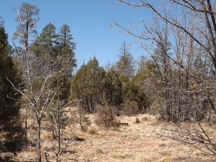 0004X Parcel 2 Section 31, Overgaard, AZ 85933 - #2
