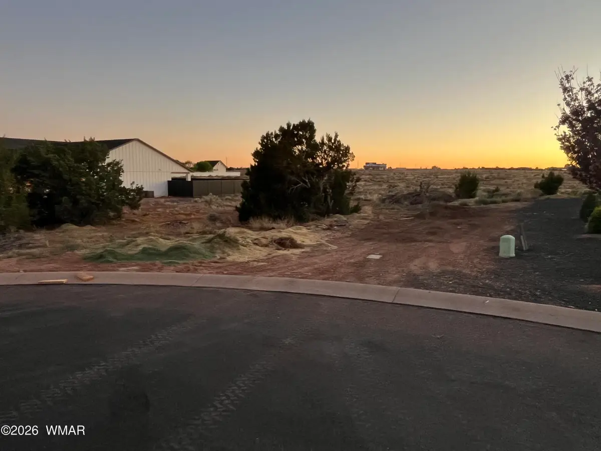 2265 W Heritage Drive, Snowflake, AZ 85937 - #1