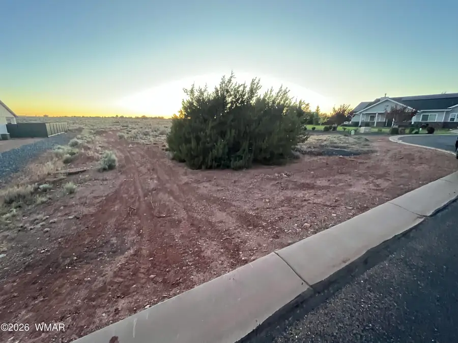 2265 W Heritage Drive, Snowflake, AZ 85937 - #3