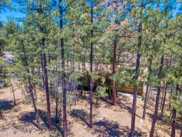 21 Southlake Road, Lakeside, AZ 85929