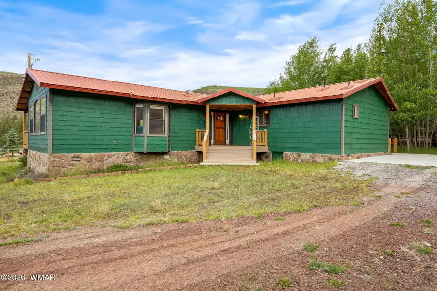 10 Rohrer Circle, Greer, AZ 85927 - #3