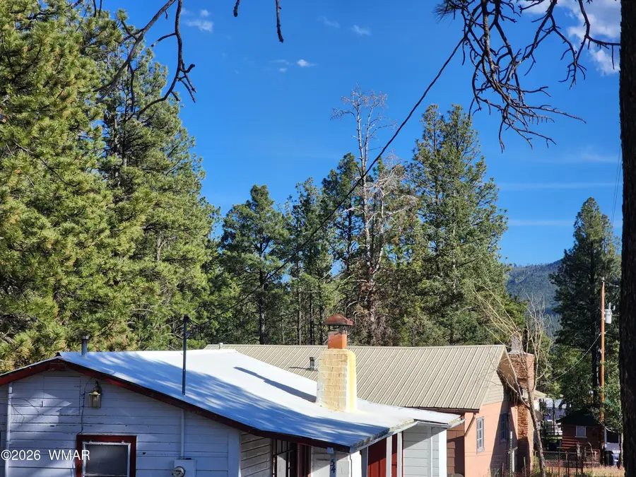 54 1st N Street, Alpine, AZ 85920 - #3
